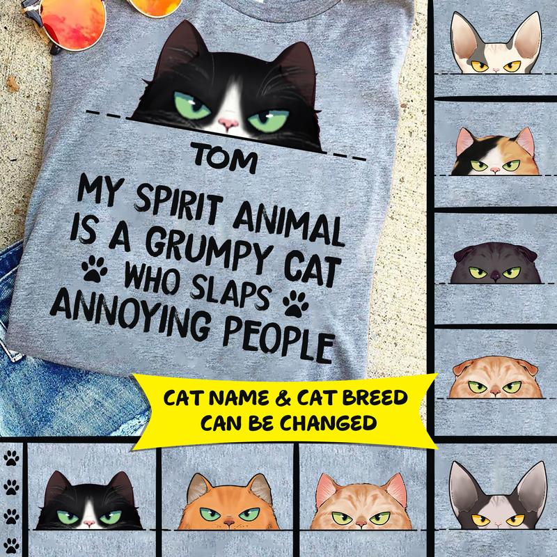 My Spirit Animal Is A Cat Personalized Shirt - TS013PS
