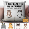 Cats's Couch Personalized Pillow - PL001PS