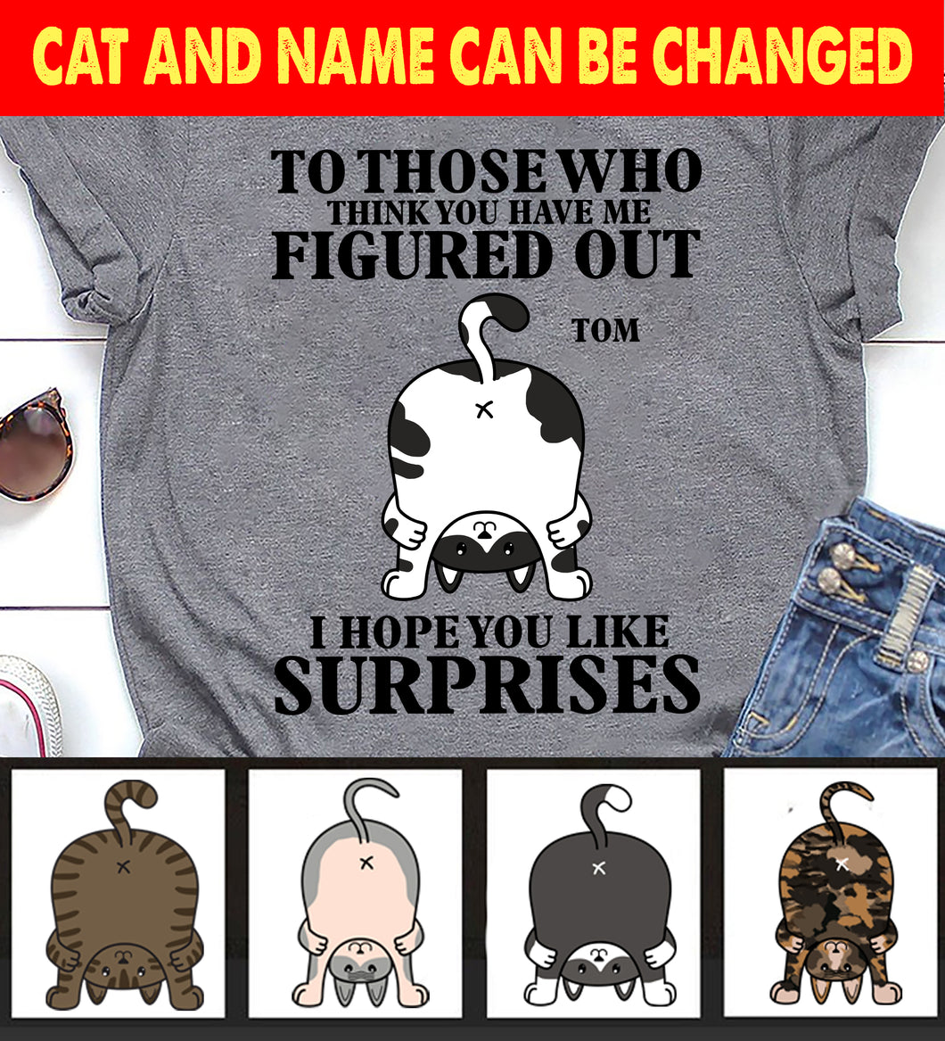 Figure Out Cat Personalized Shirt - TS028PS