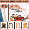 Mama's Little Pumpkins Cat Personalized Shirt - TS060PS