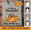 The Most Wonderful Time Of The Year Cat Personalized Shirt - TS094PS
