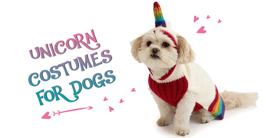 5 Awesome Unicorn Costumes for Dogs to Turn Your Pet into A Unicorn