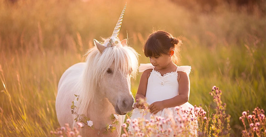 Magical transformation: How to make Unicorn horn for your horse?