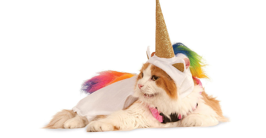 Collection of Unicorn hat for cats and DIY instructions