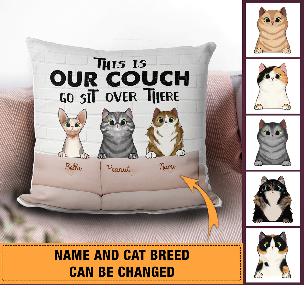 This Is Our Couch Cat Personalized Pillow - PL009PS