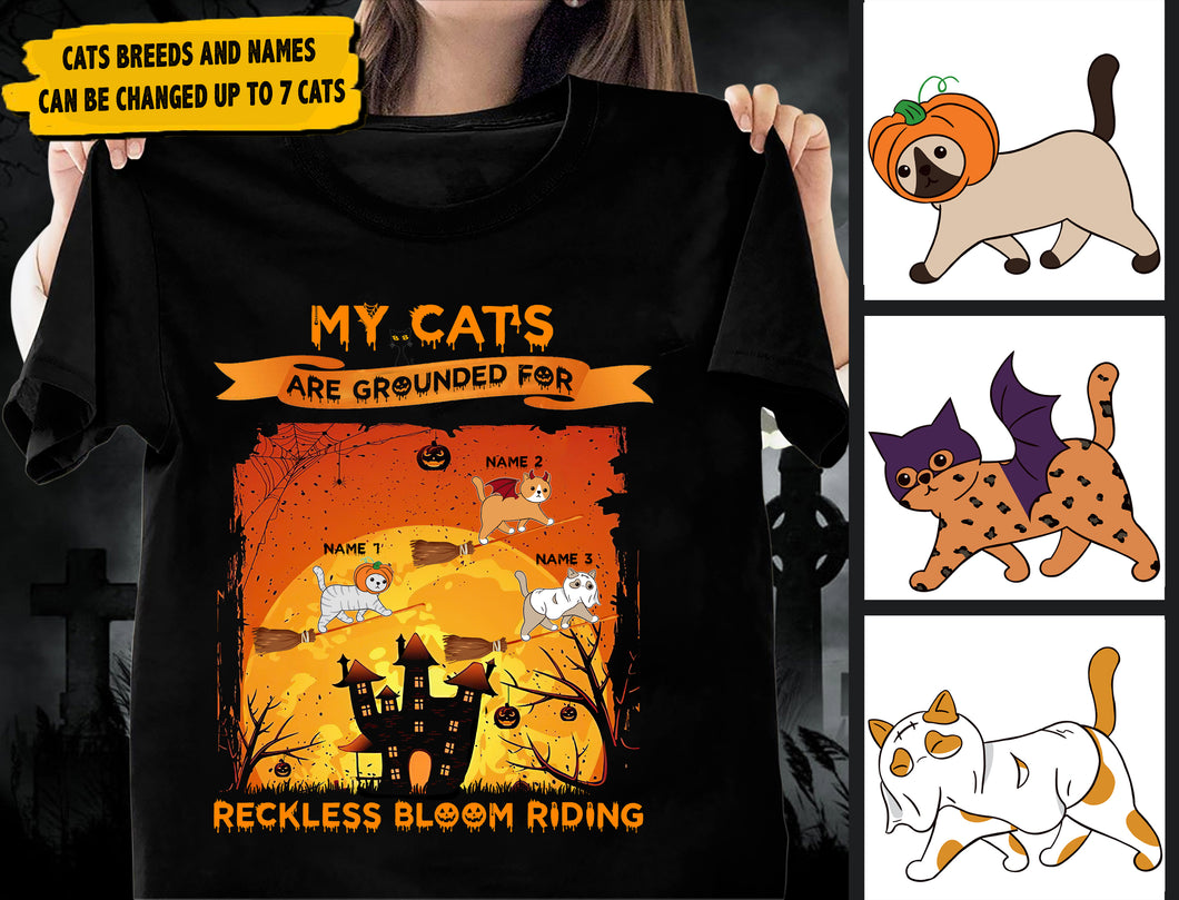 My Cats Are Grounded For Reckless Bloom Riding Personalized Shirt - TS097PS