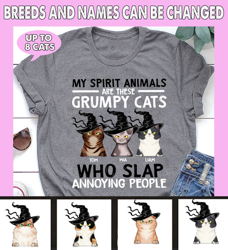 My Spirit Animals Are These Grumpy Cats Personalized Shirt - TS065PS