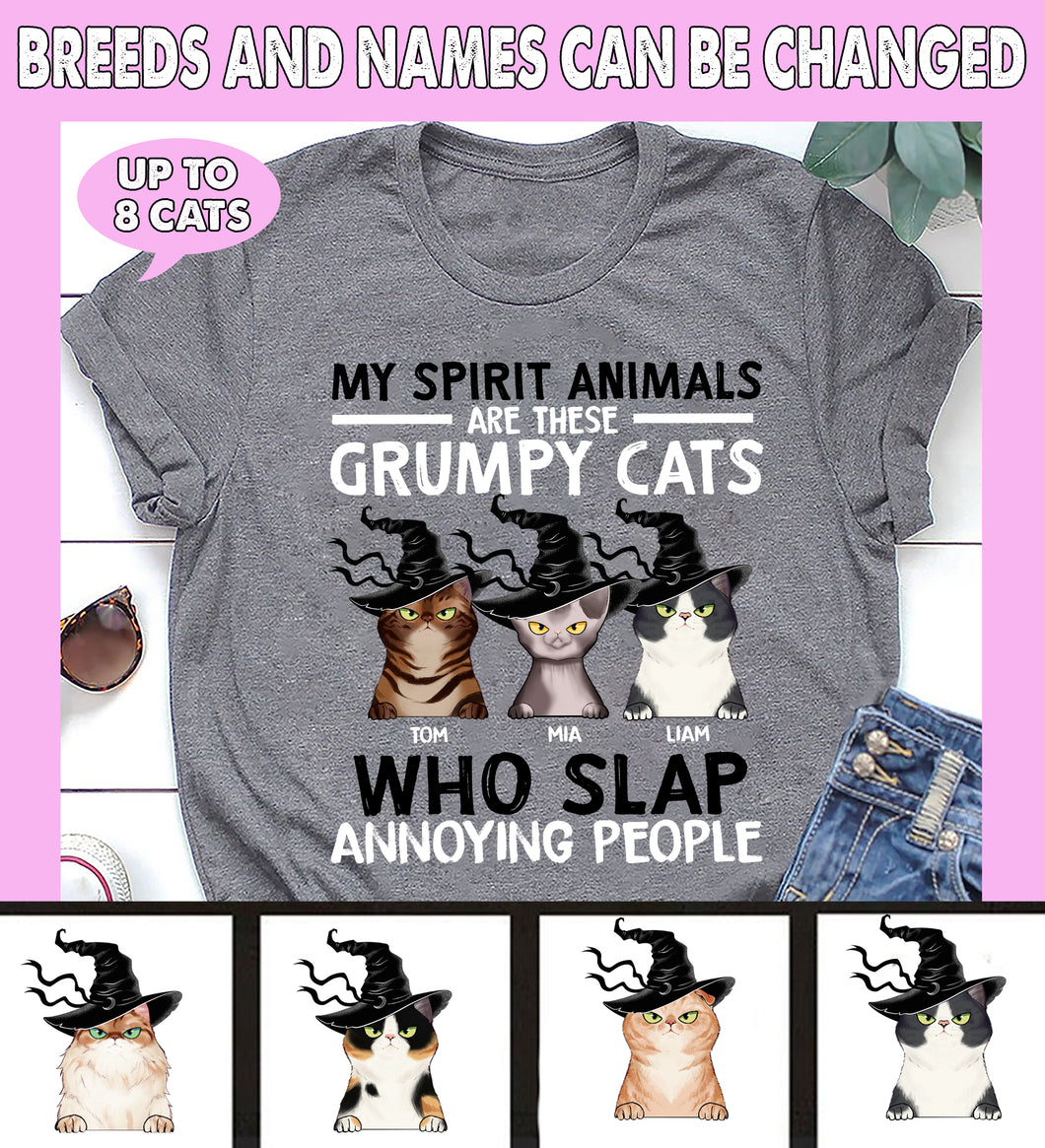My Spirit Animals Are These Grumpy Cats Personalized Shirt - TS065PS